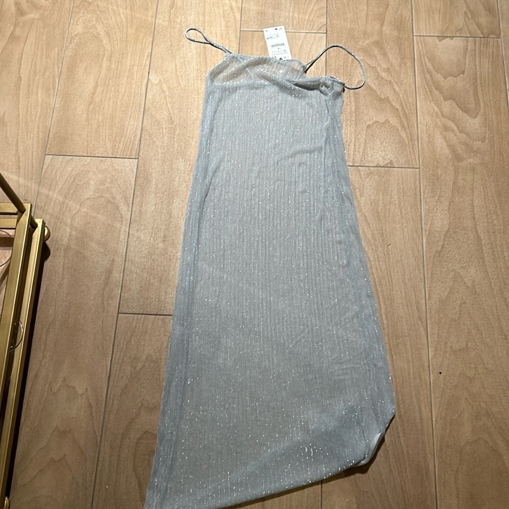 Zara Sheer Dress
